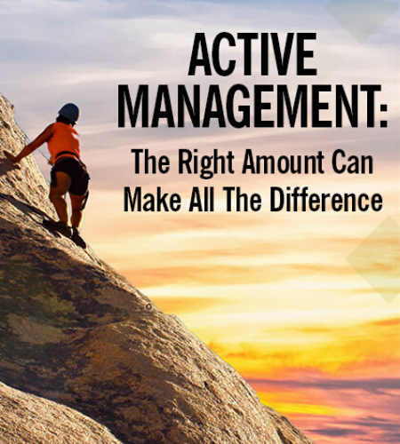 Person Rock Climbing, Benefits of the Right Amount of Active Management
