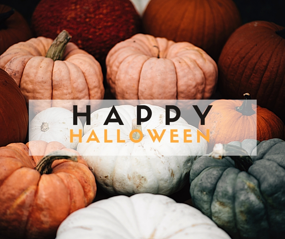 Pumpkins & Gourds - Happy Halloween