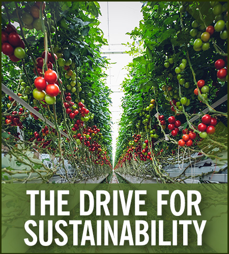 The Drive For Sustainability