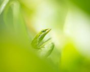 Stock market rises on strong Q3 earnings and easing inflation; S&P 500 and Dow reach new highs as investors await the Federal Reserve’s rate decision, major tech earnings from Apple, Microsoft, Alphabet, Meta, and Amazon, and key economic reports including GDP and inflation data.