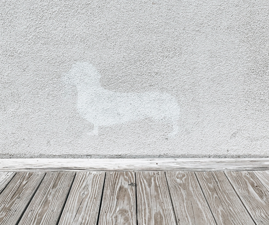 Wall With Light Color Silhouette of Dog