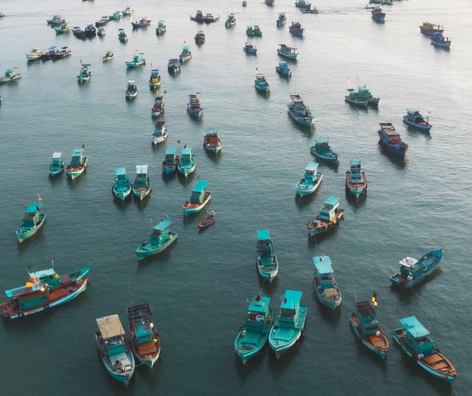 Dozens Of Boats On The Water