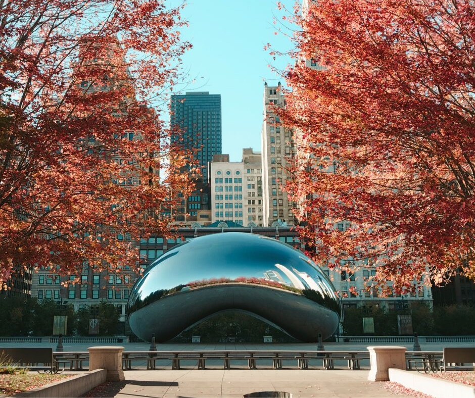 The Bean In Chicago